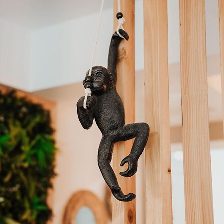 Appartamento -Jungle- Chaleureux Cosy Equipé Centre Historique Brive-la-Gaillarde Esterno foto